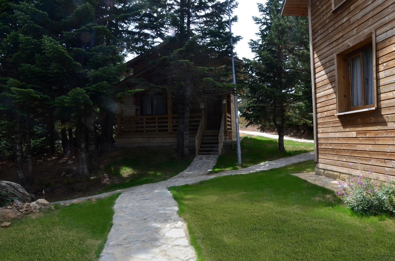 Uludag Orman Koskleri Βίλα Προύσα Εξωτερικό φωτογραφία
